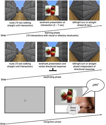 Implicit versus explicit processing of visual, olfactory, and multimodal landmark information in human wayfinding